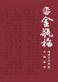 大陆禁书：新金瓶梅